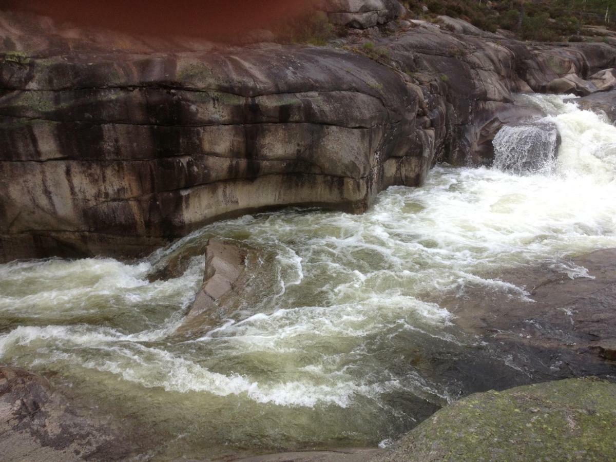 Idyllisk Sorlandshus Villa Risor Bagian luar foto